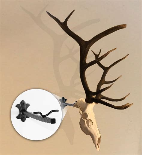 elk skull hook